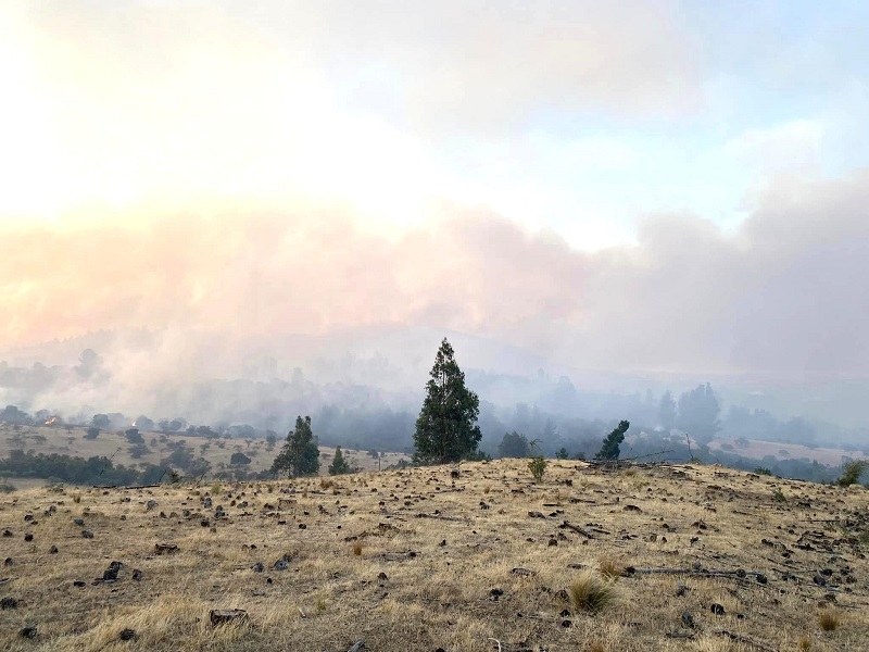 Cauquenes: Alerta roja para la comuna por incendio forestal con 2 mil hectáreas afectadas