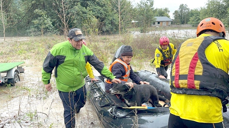 Persona mayor fue rescatada por GOPE tras crecida del Río Achibueno