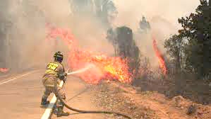 Temporada de incendios forestales cierra con un 66% menos de superficie afectada