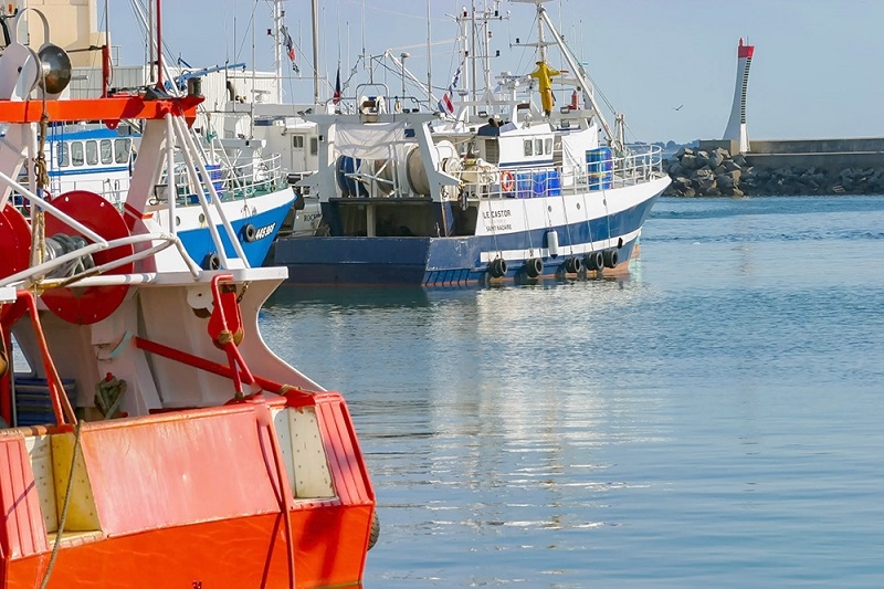 Exigen fiscalización constante ante denuncias de pesca ilegal en la Región del Maule