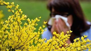 Alergias Primaverales:  ¿Cómo enfrentar los síntomas?