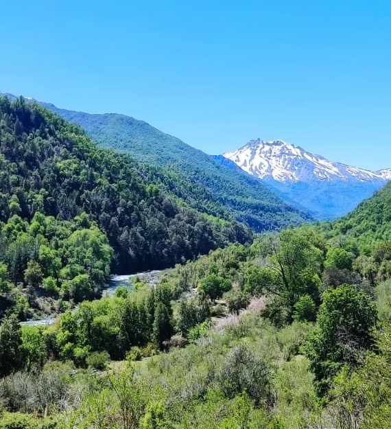 Municipalidad de Longaví prepara nueva ruta de trekking en Potrero Grande