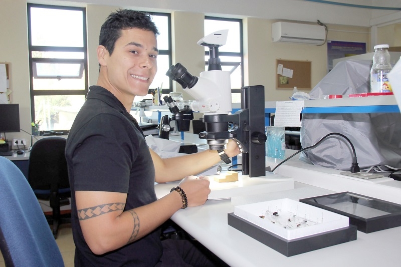 Experto advierte sobre los riesgos del Dengue en Chile