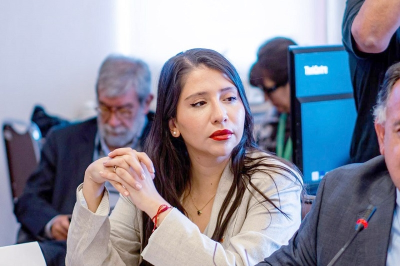 Diputada Consuelo Veloso ofició a Municipio de Villa Alegre por retraso en entrega de proyecto de planta de tratamiento