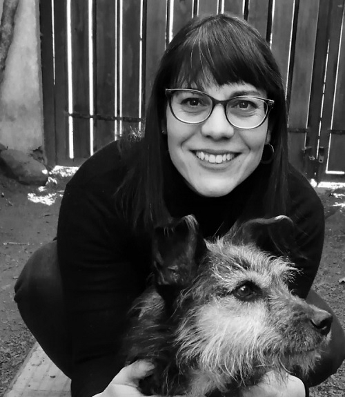 CENSO DE MASCOTAS EN CHILE Y LA FALTA DE UNA POLÍTICA PÚBLICA EN TENENCIA RESPONSABLE