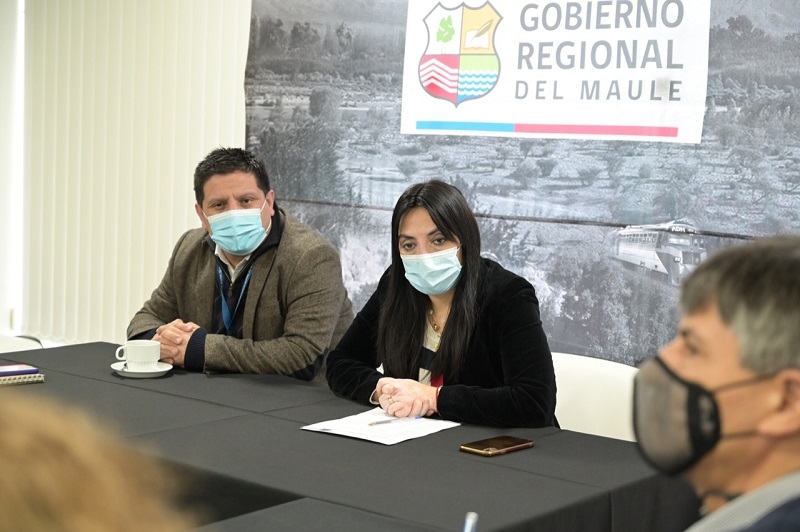 Gobernadora Regional del Maule se reúne con Subsecretario de Transportes para subsanar deficiencias del proyecto de última milla