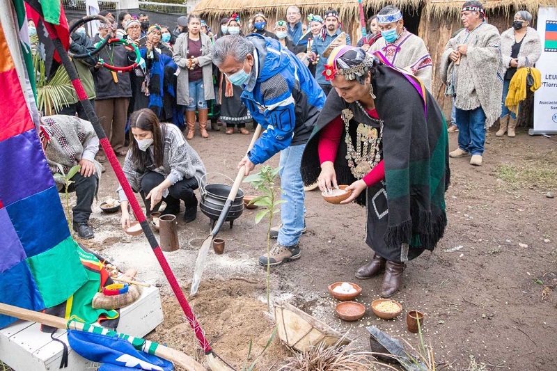Asociación Indígena Leüfü Mapu inaugura su Ruka en San Javier
