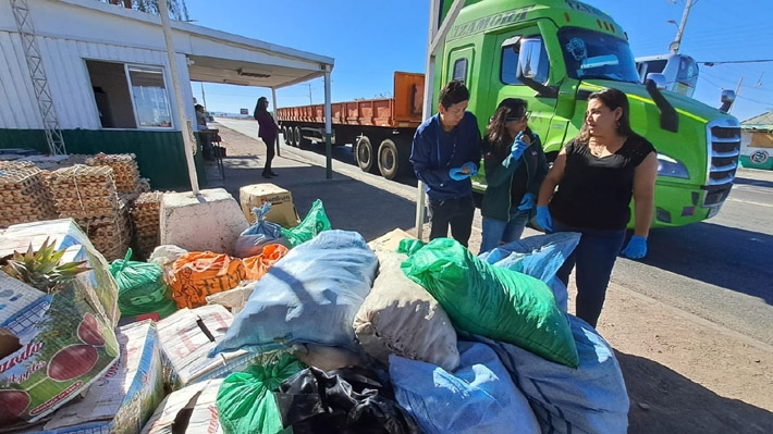 Ingreso ilegal de productos agrícolas: El fenómeno apuntado por la grave irrupción de mosca de la fruta