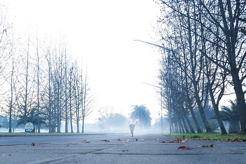 Proyecciones de invierno: Lluvias cortas e intensas seguidas de largos periodos de frío extremo
