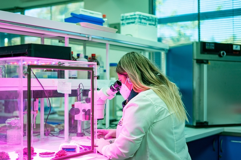 Estudio reveló los lugares del mundo que deben protegerse para conservar los ecosistemas