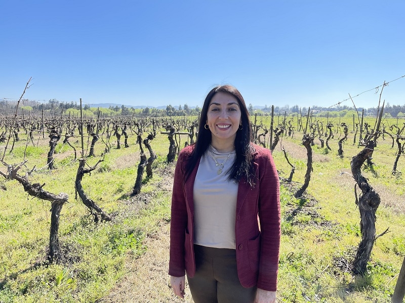 REACTIVACIÓN Y APOYO AL TURISMO LOCAL EN EL MAULE