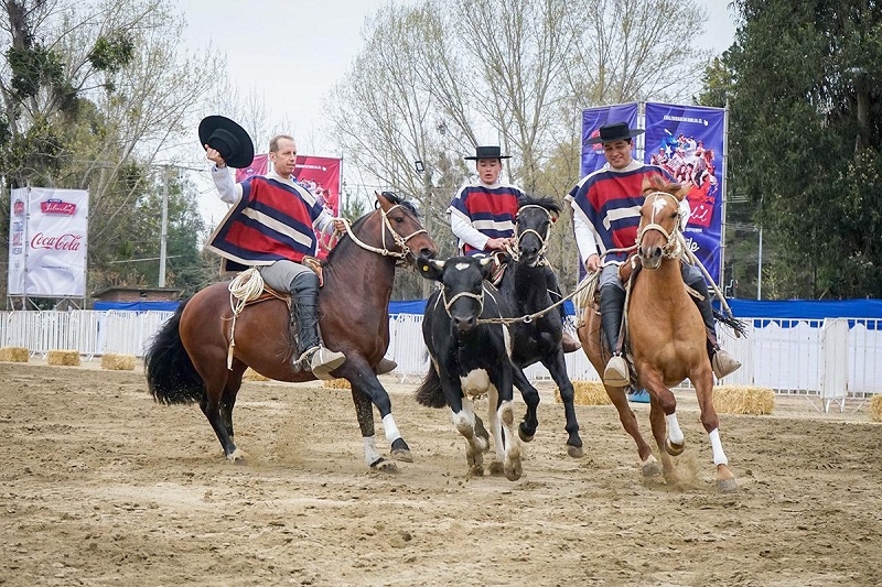 Escuadra Ecuestre Palmas de Peñaflor, Cuadro Verde y Cuadro Negro del Ejército animarán la Fiesta de la Chilenidad en Talca  