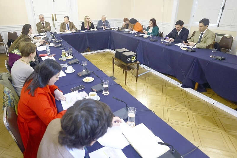 Este viernes comienzan votaciones en el Pleno del Consejo Constitucional