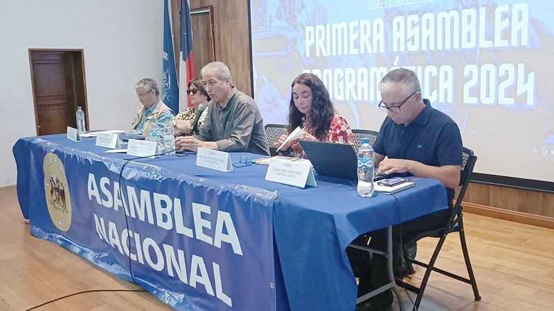 Colegio de Profesores convoca a paro nacional de 48 horas ante falta de respuestas del Gobierno