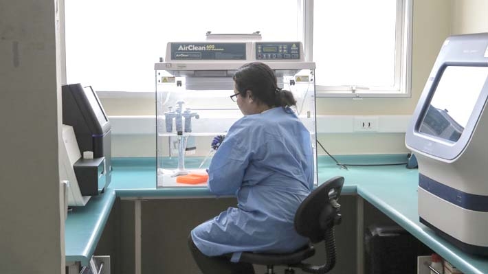  ISP ha detectado 262 casos con agresiva bacteria y ya supera registro de todo 2023: "Estamos en franco ascenso"