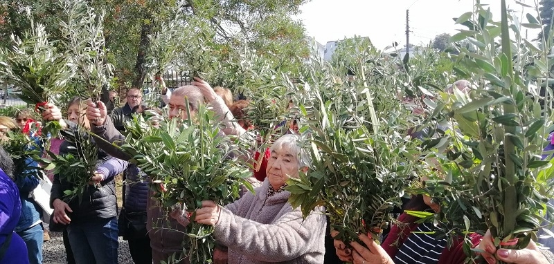 DOMINGO DE RAMOS.-