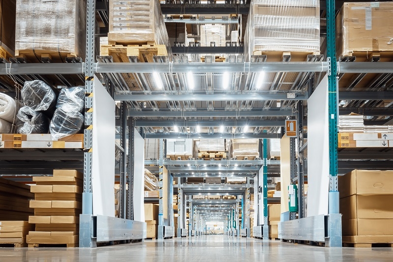 Reporte Bain & Company  Industria del papel y packaging enfrenta una crisis de biodiversidad