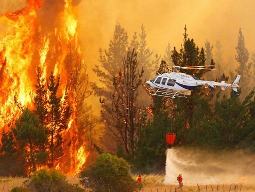   TGR inicia aplicación de medidas tributarias para ayudar a contribuyentes afectados por mega incendios