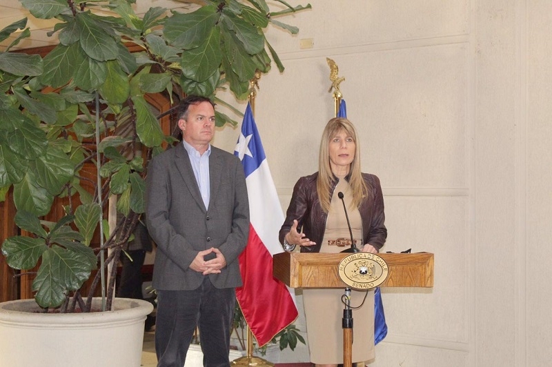 Senadora Rincón ingresa proyecto de reforma constitucional para dar continuidad a proceso constituyente