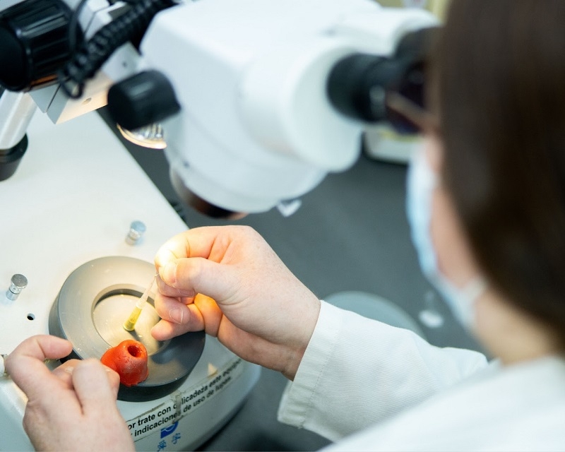 Universidad de Talca se adjudica ocho nuevos proyectos de investigadores jóvenes