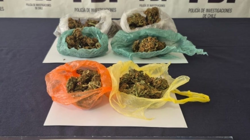 SENDA: Consumo de tabaco y alcohol en escolares alcanzó niveles más bajos y aumenta percepción de riesgo de uso de cannabis