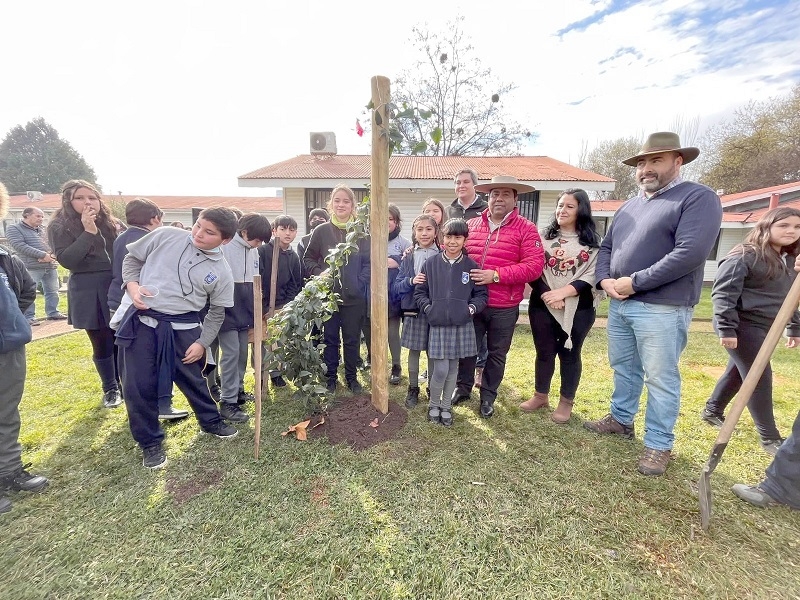 Copihue fue plantado en el jardín del municipio de Colbún