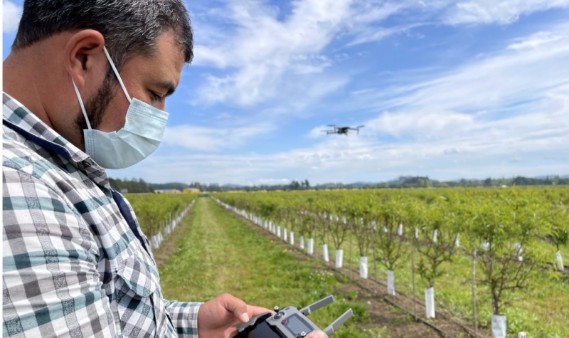 Director ejecutivo de FIA participará en el XI Encuentro INNOVAGRO 2021 para impulsar la digitalización en el agro nacional