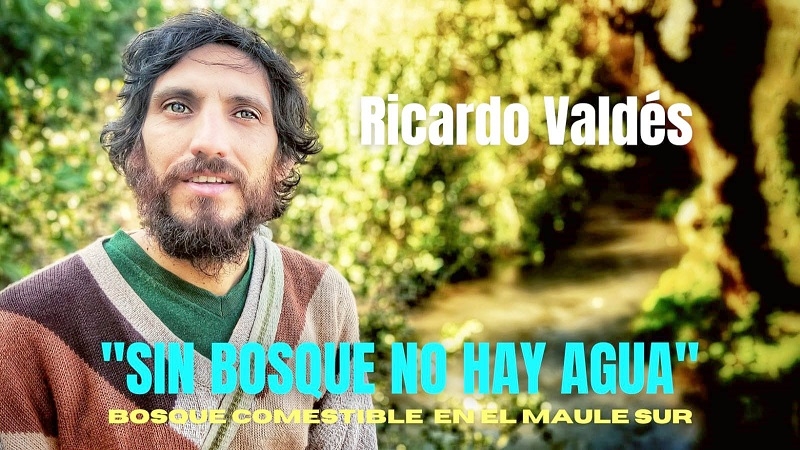 Ricardo Valdés y el bosque comestible en el Maule Sur