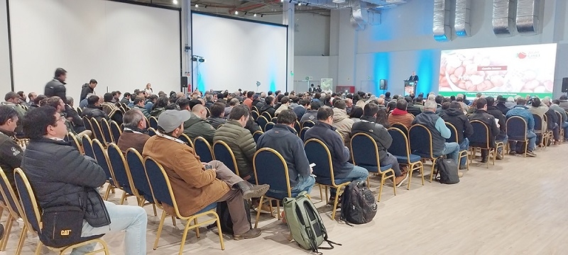 Más de 400 personas participaron en el primer Congreso Científico Nacional del Avellano Europeo en Chile