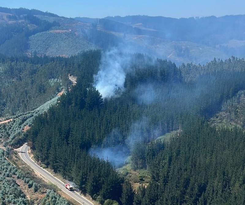 Corma denuncia ola de incendios intencionales en el sur