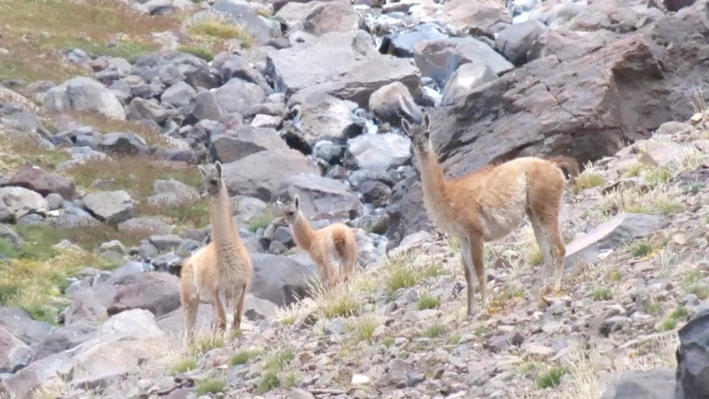 Consejo de Ministros aprobó la creación de cinco nuevos Santuarios de la Naturaleza