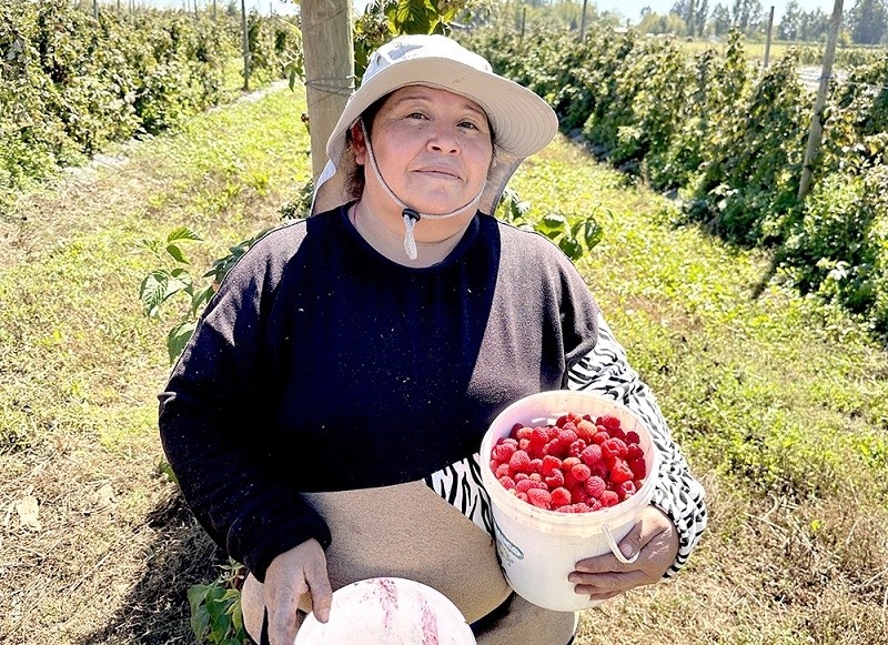  Comisión Nacional de Riego impulsa la autonomía económica de mujeres agricultoras con curso online sobre riego y energía fotovoltaica