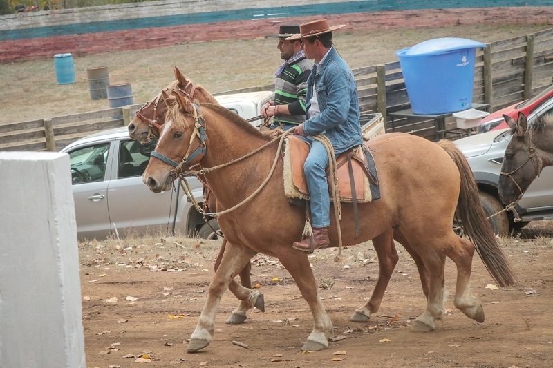 En Los Hualles fue resaltada la Fiesta del Arriero