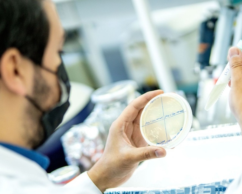 Nuevos proyectos fortalecen la investigación en diversas áreas del conocimiento 