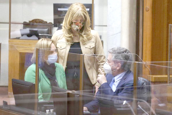 Senadora Rincón: “Necesitamos poner el foco en la reactivación con dignidad”