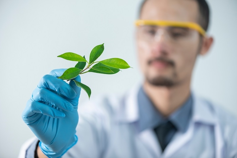  Experto destacó la importancia de la descentralización de la ciencia