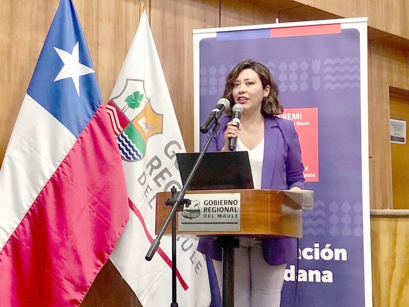 Nueva jornada ciudadana para crear Plan de Acción Regional de Cambio Climático se realizará en Linares