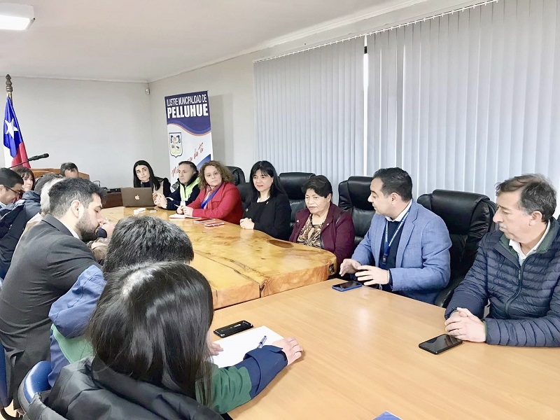 En Pelluhue sesiona Mesa de Trabajo para abordar riesgo de árboles de cuesta “El Corte” ruta M-50 Cauquenes-Chanco