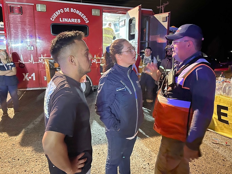 Linares: Evacuación preventiva y alerta roja por incendio de pastizales en Palmilla