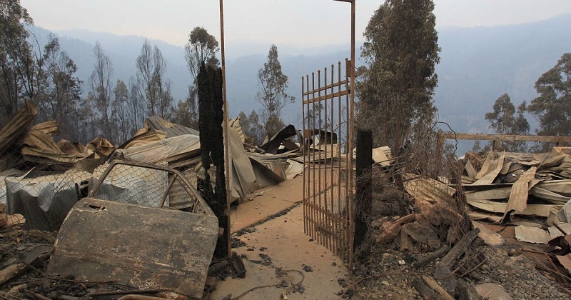   "Plan de recuperación": Las 13 ayudas del Gobierno a los afectados por los incendios