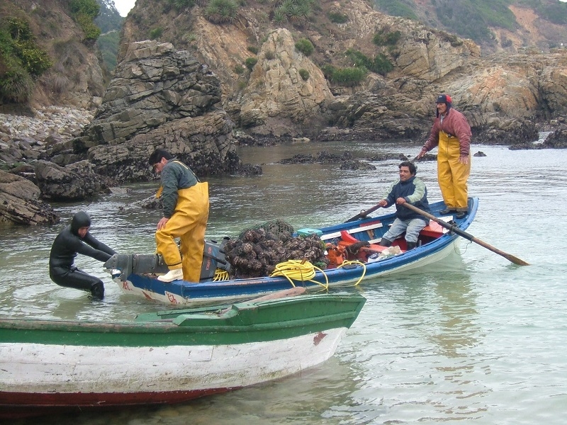  INDESPA prepara próximas convocatorias para la pesca y acuicultura de pequeña escala  