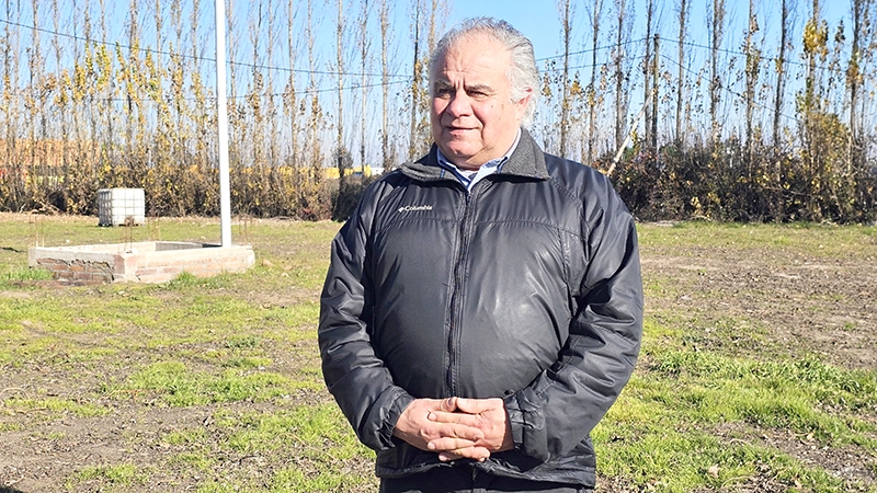 A 50 años de la Planta Celulosa Constitución: una historia que vale la pena mirar