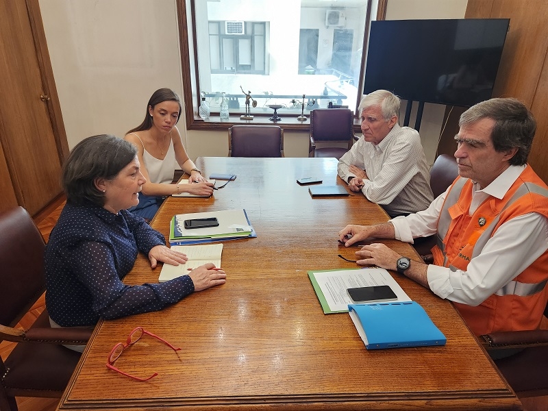 Mundo de la madera compromete apoyo a reconstrucción 