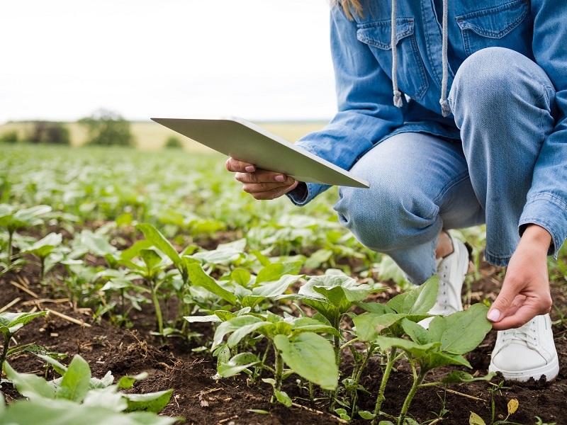 600 Pymes agrícolas se capacitarán en transformación digital