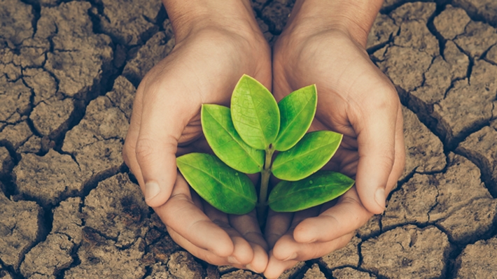 Día Mundial de la Sequía y Desertificación: Las estrategias clave para enfrentar la profunda escasez hídrica
