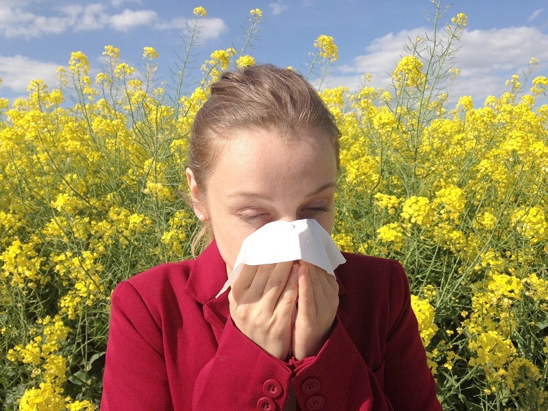 La primavera podría traernos la influenza de vuelta
