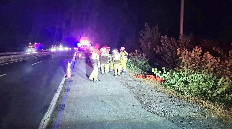 Villa Alegre: nueva víctima fatal en atropello en Ruta 5 Sur