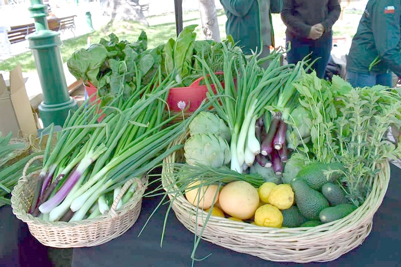Inicio escolar verde: SAG promueve el consumo de productos orgánicos entre estudiantes