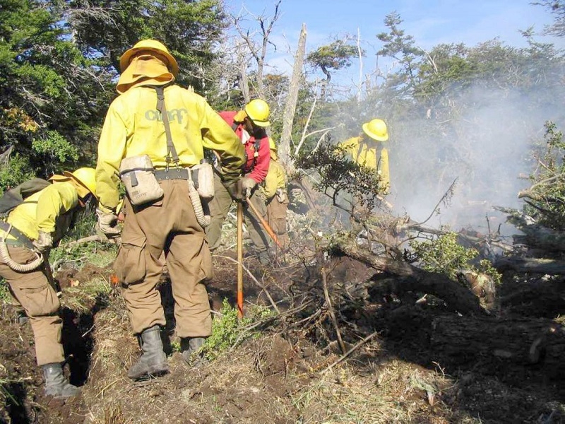 Fiscalía de Linares logra prisión de sujeto que origina incendio forestal