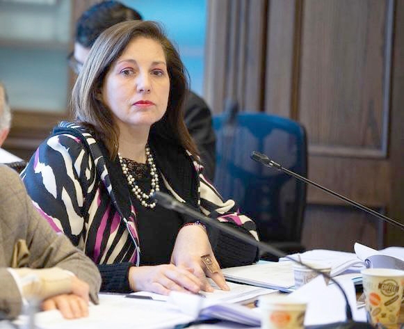 Paulina Vodanovic (PS) bajó su candidatura presidencial